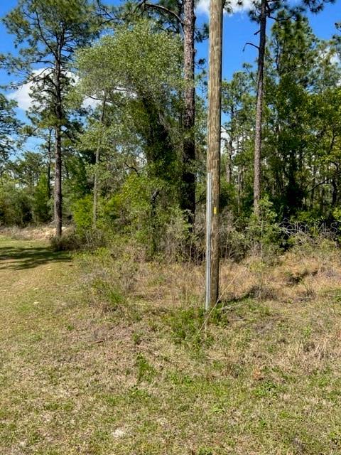 NW Aspen Lane, Dunnellon, FL 34431