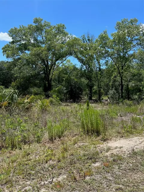 SE 124th Terrace, Dunnellon, FL 34431