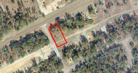 SE 113th St Road, Ocala, FL 34483