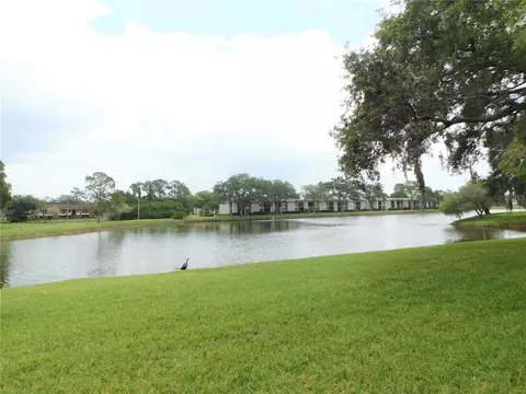 175 Lakeview Way #175, Oldsmar, FL 34677
