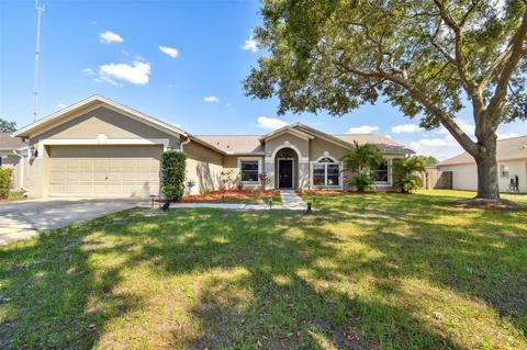 10528 Salisbury St, Riverview, FL 33569