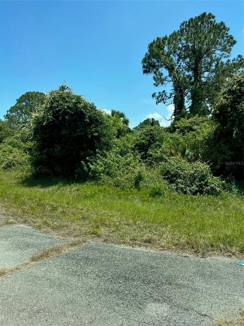 329 Charles Duke Pl, Labelle, FL 33935