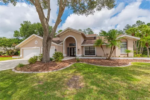 3672 Windber Blvd, Palm Harbor, FL 34685