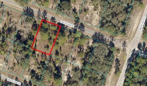Malauka Place, Ocklawaha, FL 32179
