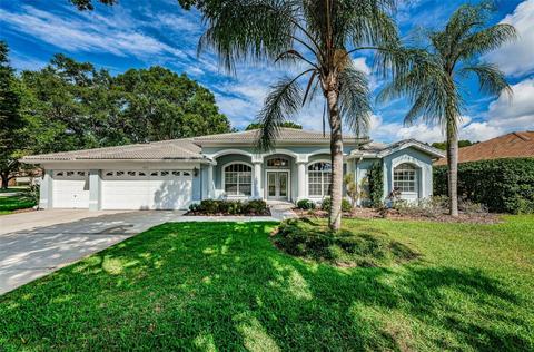1002 Kings Way Ln, Tarpon Springs, FL 34688