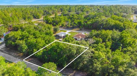 11756 Monica Dr, Citrus Springs, FL 34433