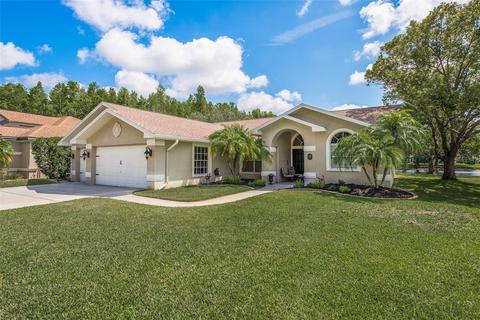 1146 Maravista Dr, Trinity, FL 34655