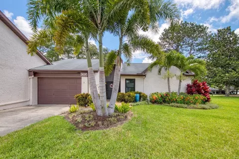 3695 Ridgemont Ct, Palm Harbor, FL 34684
