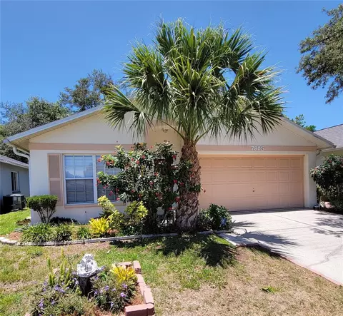 7805 Barclay Rd, New Port Richey, FL 34654