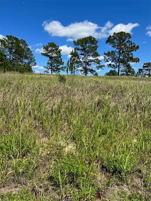 SW 148th Court, Ocala, FL 34481