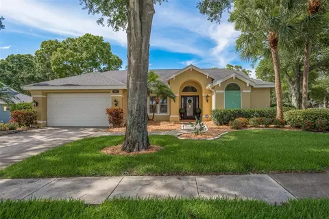 1857 Wood Thrush Way, Palm Harbor, FL 34683