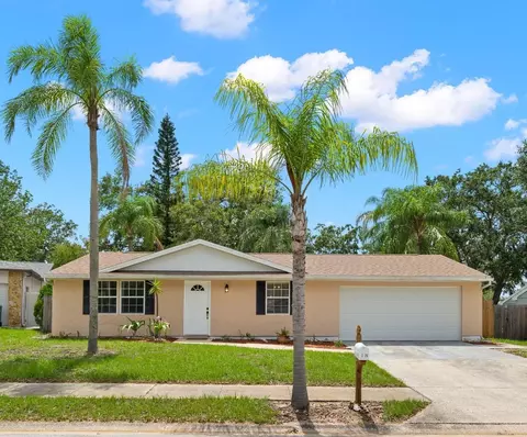 2978 Hanna Ct, Palm Harbor, FL 34684