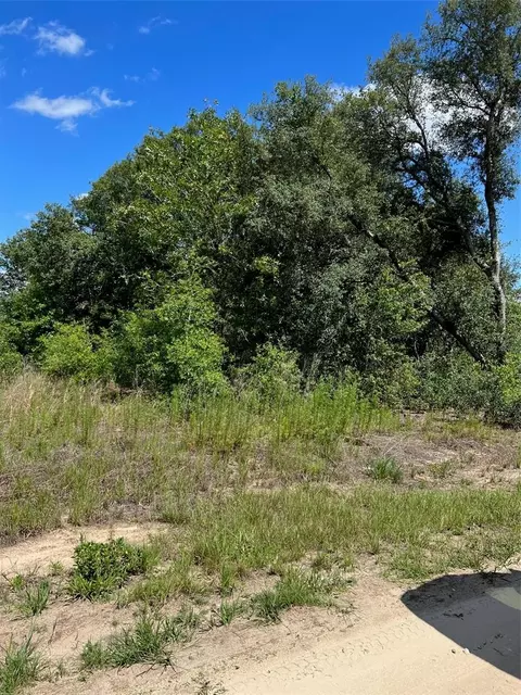 SW 146th Avenue, Ocala, FL 34481