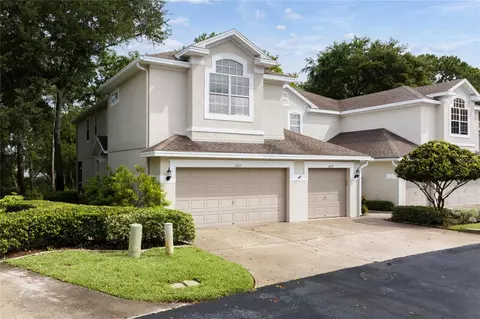 3607 Country Pointe Pl, Palm Harbor, FL 34684