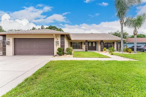 13604 Red Birch Pl, Tampa, FL 33625