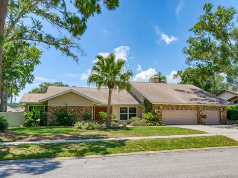 3327 Sandy Ridge Dr, Clearwater, FL 33761