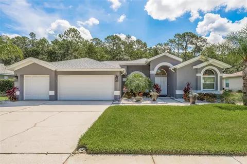 2619 Appaloosa Trl, Palm Harbor, FL 34685