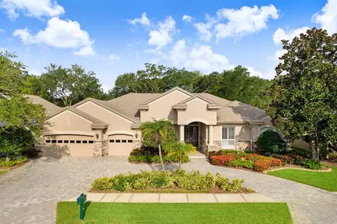 236 Highland Woods Dr, Safety Harbor, FL 34695