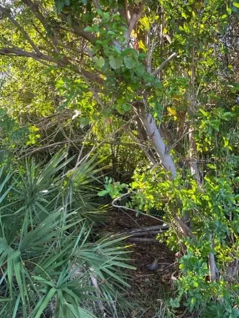 Undisclosed, Seminole, FL 33776