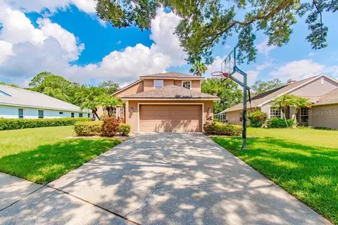 342 Fountainview Cir, Oldsmar, FL 34677