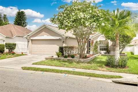 1825 Alvara Pl, Trinity, FL 34655