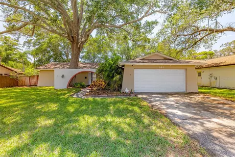 746 Rustic Oaks Dr, Palm Harbor, FL 34684