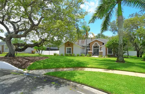 8803 Crosswood Ct, Riverview, FL 33578