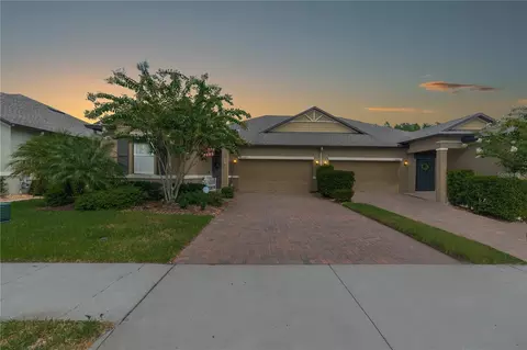 17062 Balance Cv, Land O Lakes, FL 34638