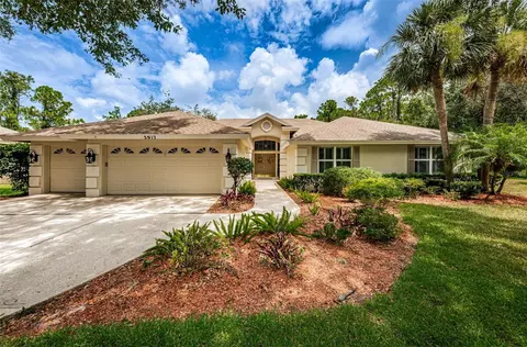 3917 Saywood Ct, Palm Harbor, FL 34685