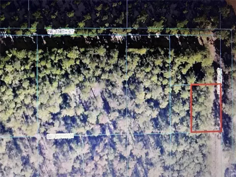Tba NE 142nd Court, Fort Mc Coy, FL 32134