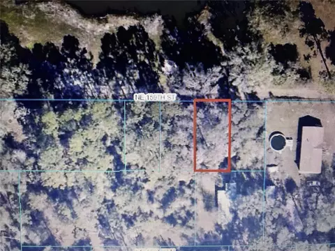 Tba NE 159th Street, Fort Mc Coy, FL 32134