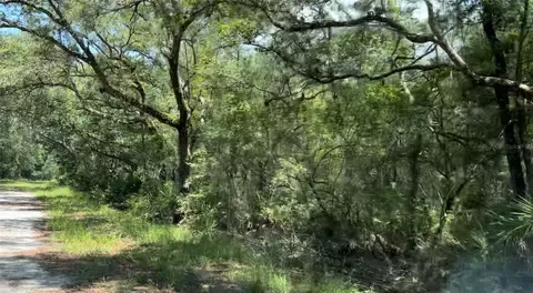 0 SE Pelican Rd, Branford, FL 32008