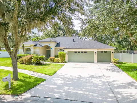 12526 River Birch Dr, Riverview, FL 33569 photo 1