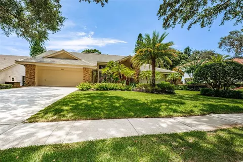3538 Shoreline Cir, Palm Harbor, FL 34684