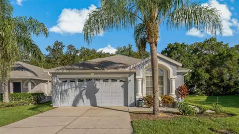 6505 Gentle Ben Cir, Wesley Chapel, FL 33544