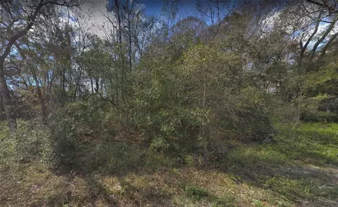 Leon Street, New Port Richey, FL 34654