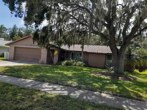 Undisclosed, Oldsmar, FL 34677