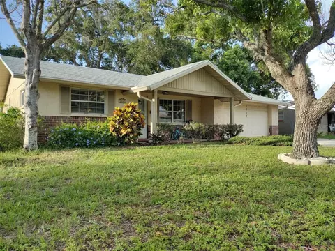 6007 Beechwood Dr, New Port Richey, FL 34653