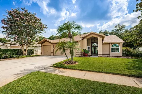 10216 Vista Pointe Dr, Tampa, FL 33635