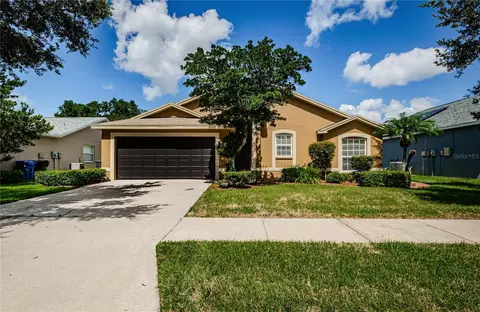 10636 Carloway Hills Dr, Wimauma, FL 33598