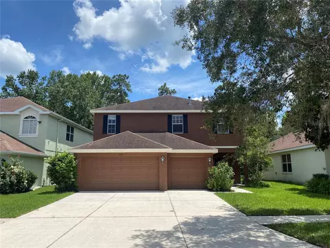9329 Mandrake Ct, Tampa, FL 33647