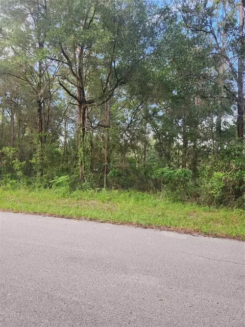 787 N Charles Ave, Inverness, FL 34453