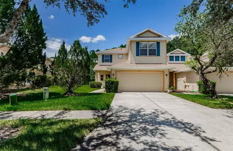 9093 Iron Oak Ave, Tampa, FL 33647