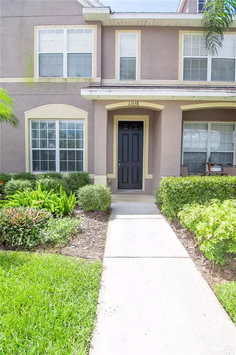 11658 N Declaration Dr S, Tampa, FL 33635