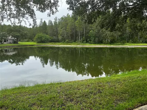 1044 Flora Vista St, Trinity, FL 34655
