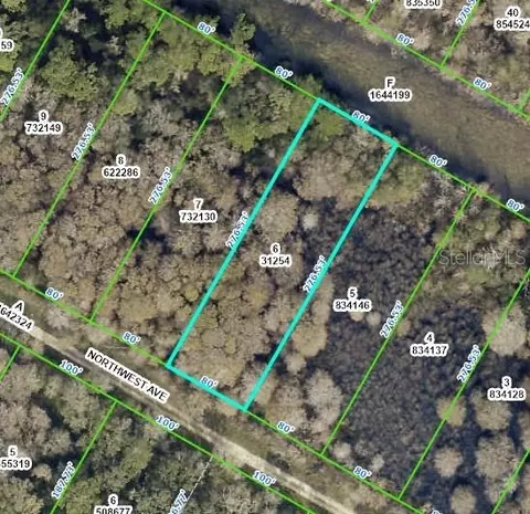 Northwest Avenue, Webster, FL 33597