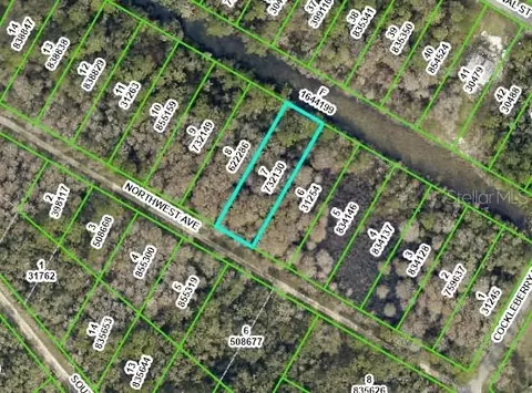 Northwest Avenue, Webster, FL 33597
