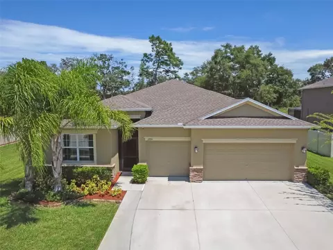 13734 Bee Tree Ct, Hudson, FL 34669