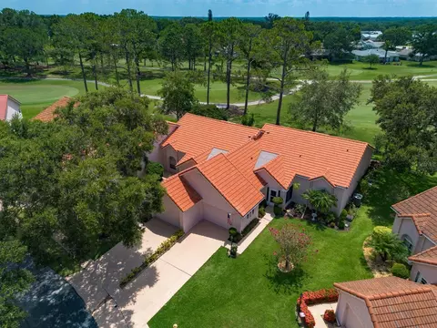 1145 Woodleaf Ct, Palm Harbor, FL 34684