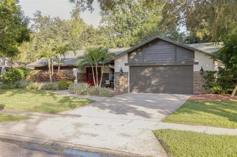 440 Hickorynut Ave, Oldsmar, FL 34677